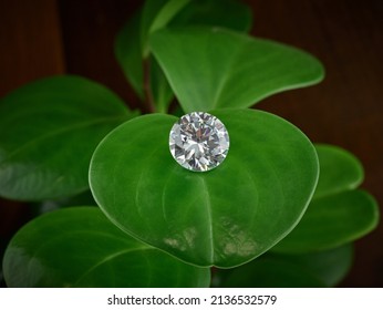 Round Diamond on Green Leaf Background - Shutterstock ID 2136532579