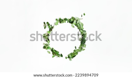 Similar – Green wreath with flowers and plants on white