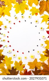 Round frame from yellow and faded brown autumn leaves of maple, oak, fresh yellow chrysanthemum flowers, rowan berries and wild grapes isolated on white background. Fall concept. Flat lay.