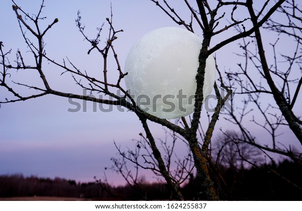 Round full moon in tree branches on evening sky\
background. Lunar model, moon-shaped lamp with moon craters        \
             