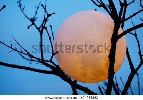 Round full moon in tree branches on evening sky\
background. Lunar model, moon-shaped lamp with moon craters        \
             