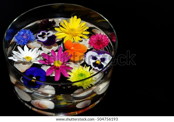 Round Glass Vase Seashells Flowers Stock Photo Edit Now 504756193