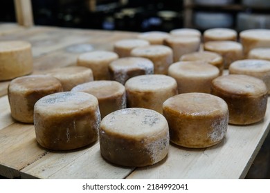 Round Hard Cheese Heads Ripening On Shelf In Cold Chamber On Cheese Factory.