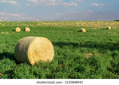 Round Hay Bail in a Field