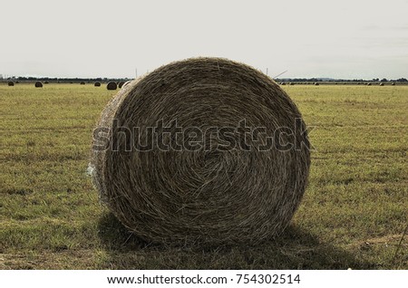 Similar – Image, Stock Photo straw bale Straw