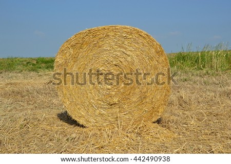Round Hay Bails
