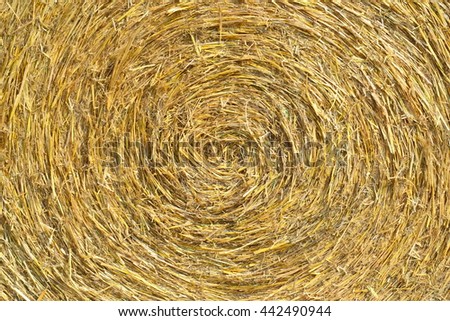 Round Hay Bails