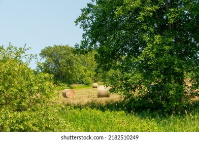 Round Hay Bales Across The River After Haying.