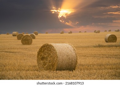 Round Hay Bales In A Field Under Dramatic Sky 