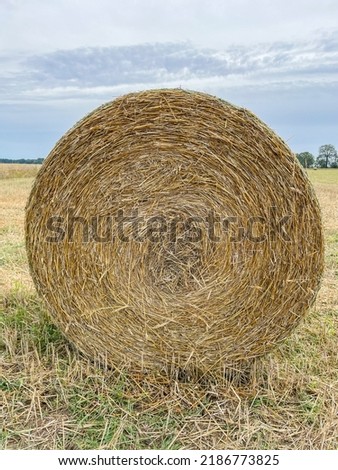 Similar – Image, Stock Photo straw bale Straw