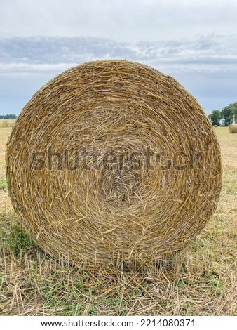 Image, Stock Photo straw bale Straw