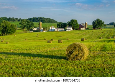 Round Hay Bales On Slightly Rolling Hills In Amish Country.  Farm And Farm House In Background.