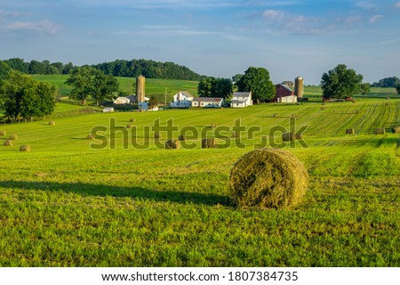 Round hay bales on slightly rolling hills in amish country.  Farm and farm house in background.