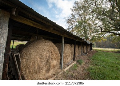 Round Hay Bales Stored Under A Pole Barn In Rural Appalachia.