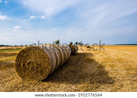 Round hay roles on a field lined up placed one behind the other