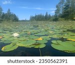 Round Lake (Whitney C. Wilderness, Adirondacks, New York)