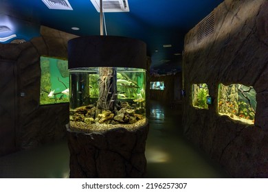 Round Large Aquarium With Tropical Fish