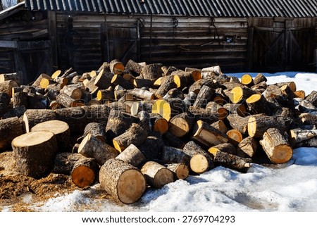 Round log sections scattered on snow, sawmill yard mood with rough bark and crosscut faces, cold sunlight casting long