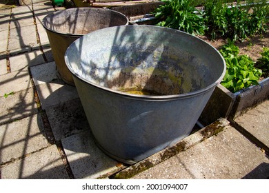 Round Metal Trough For Water In A Abandoned Greenery