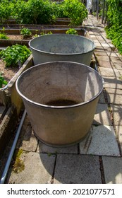 Round Metal Trough For Water In A Abandoned Greenery