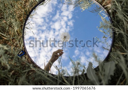 Round Mirror In The Grass - Trendy Image, Close To Nature. Dandelion in the mirror against the blue sky