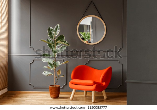 Round mirror hanging on the wall with molding in\
real photo of dark sitting room interior with orange armchair and\
fresh potted plant