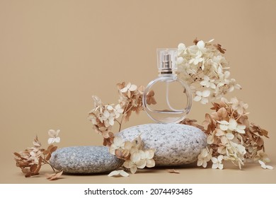La botella redonda Perfume se burla de fondo beige. Podio de guijarros y flores de hidrangea secas. Colores naturales de tierra, espacio de copia