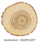 Round piece of wood in cross section with wood texture pattern isolated on a white background. Detailed organic surface.