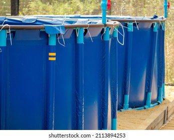 Round Plastic Tanks For Growing Shrimp In Hatchery.Breeding Aquatic Animals