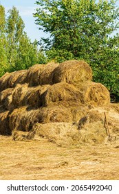 Round Rolls Of Hay Are Stored In The Backyard Of The Animal Farm, Vertical Photo