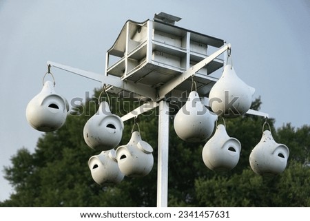 The round shape hanging bird houses painted in white color