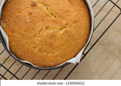 A round shaped Maderia cake in a baking tin on a wire, cooling rack. Flat Lay.