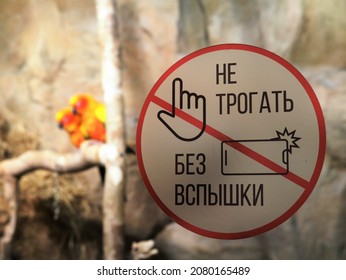 a round sign with a red outline and the inscription in Russian "Do not touch, no flash", which prohibits photographing animals with a flash, graphic information regulatory symbol in a public place