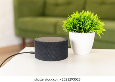 Round small smart speaker and home plant on white table. Smart device for home in living room