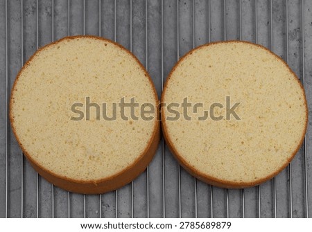 Round sponge cake bases for making birthday cakes, confectionery