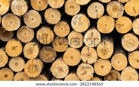 round stack of wood logs background for decoration