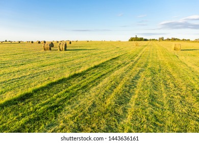 round stacks of pressed hay on the green field - Shutterstock ID 1443636161