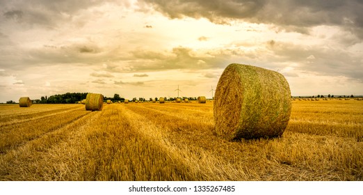 Round straw bales on farmland