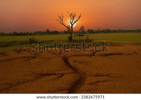 Round sun and sunset scenery with sihouette of tree, rice field with branch of the tree with round sun set in background, Amazing wonderful near dark foreground of dry and fissure of ground