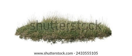 Similar – Image, Stock Photo Dried grasses by the pond at dusk in fall/winter.