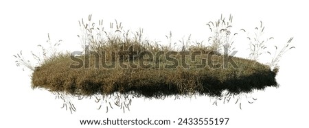Similar – Image, Stock Photo Dried grasses by the pond at dusk in fall/winter.
