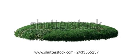 round surface patch covered with flowers, green leaf rock plant or dry grass isolated on white background. Realistic natural element for design. Bright 3d illustration.	