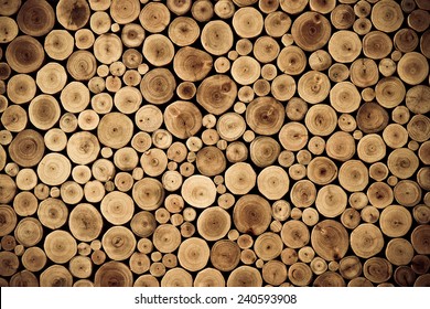 Round Teak Wood Stump Background