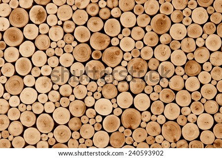 round teak wood stump background