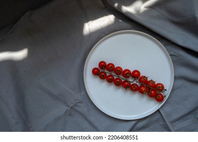Round  Tray and tomato on dark fabric Surface copy space for design text top shot foodie