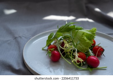 Round  Tray and vegetable salad on dark fabric Surface copy space for design text 45 degree foodie