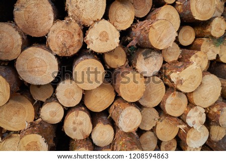 Round uncut log crossection background