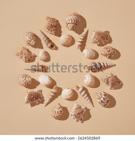 Round vacation frame of brown shells on a beige background with hard shadows. A place for your text.