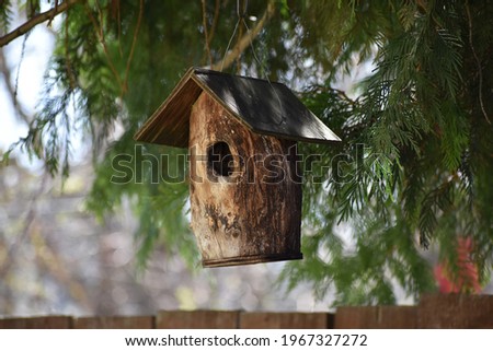 Round, weathered, wooden, hanging, natural birdhouse made from a hollow log, with cedar branches and wooden fence in background.