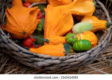 Round Wicker Basket With Harvested Vegetables In Autumn Season